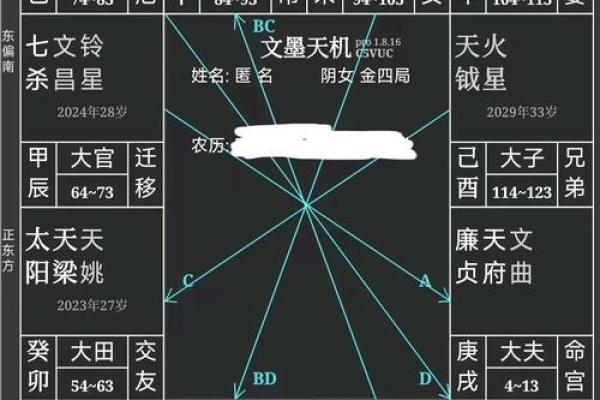 紫薇斗数看女命