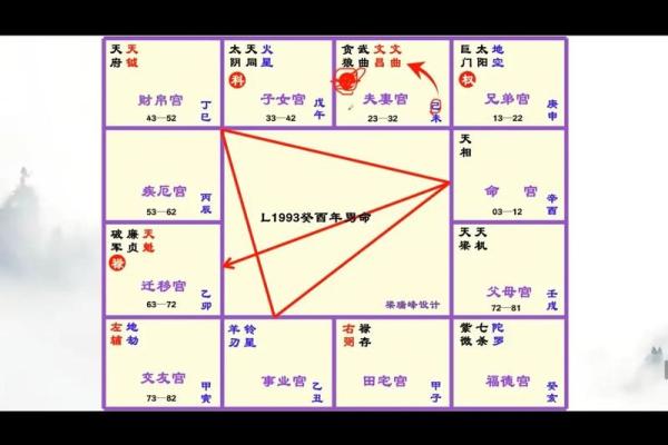 紫薇斗数如何看智慧