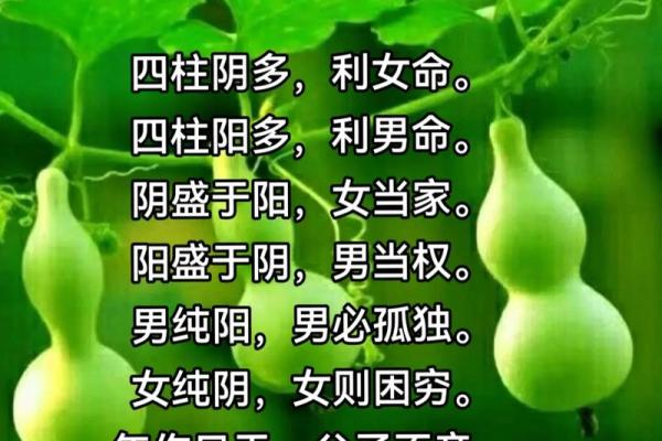 八字看一个人是否聪明有内涵，八字学堂词馆看法