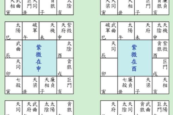 紫薇斗数文昌命宫