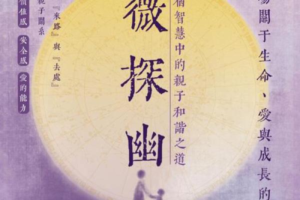 壹年山人紫薇斗数