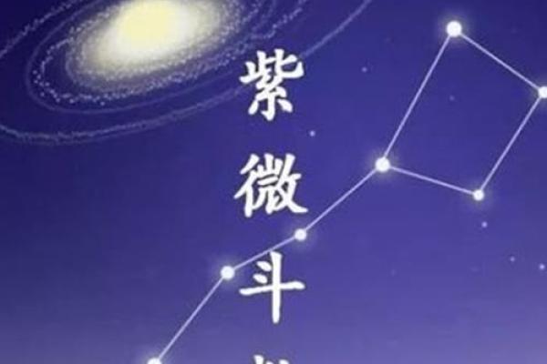 惯索紫薇斗数