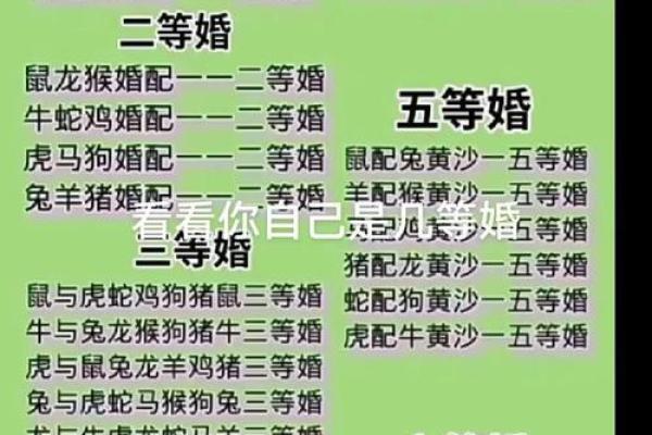 属龙男和属马女姻缘怎么样 属龙男和属马女配对好不好