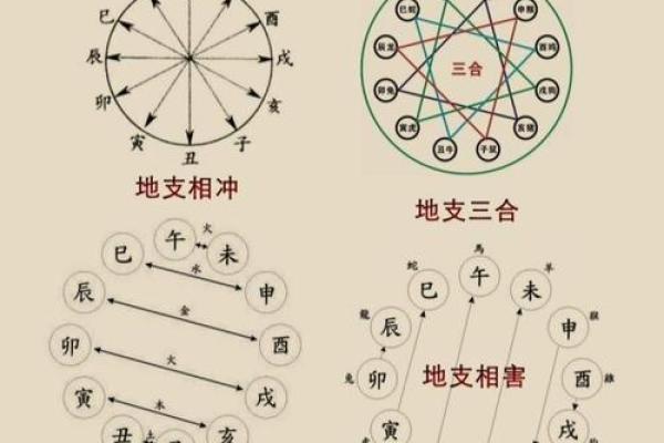 三会的八字