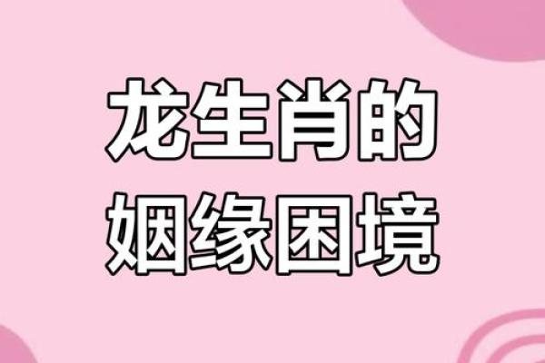 属龙女跟什么属相最配对