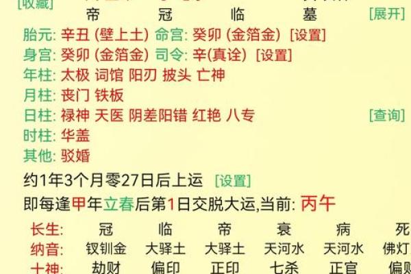 苏民峰八字