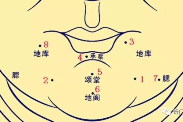 如何从女人下巴面相算命