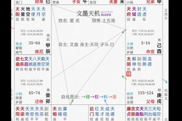 紫薇斗数如何看工作