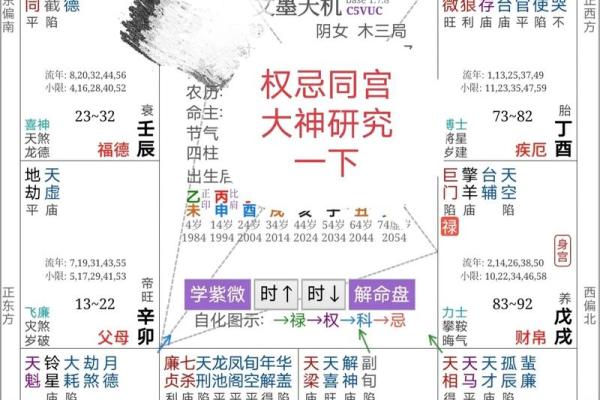 八字紫微星是什么意思