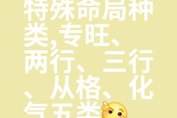 八字从旺格