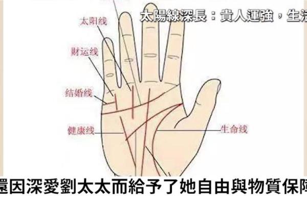 怎么看手相女八字命理详解
