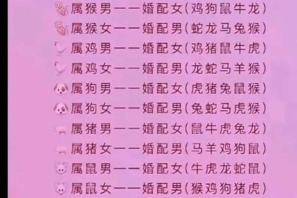 属兔和什么属相最配对 属兔和什么属相相冲