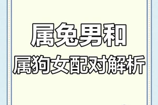 属狗的女人和什么属相最配对 属狗的女人和什么属相最配婚姻
