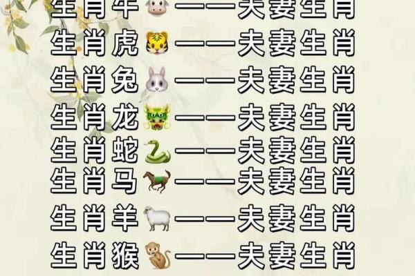 1994年属什么生肖的宝宝 1994年属什么生肖配对男
