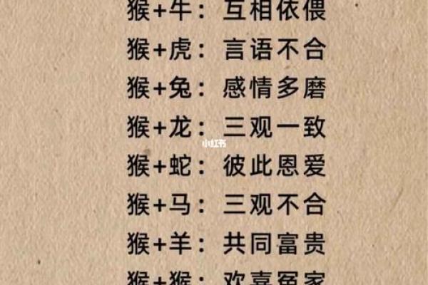 1969年属什么生肖配对最好 1969年属什么生肖五行