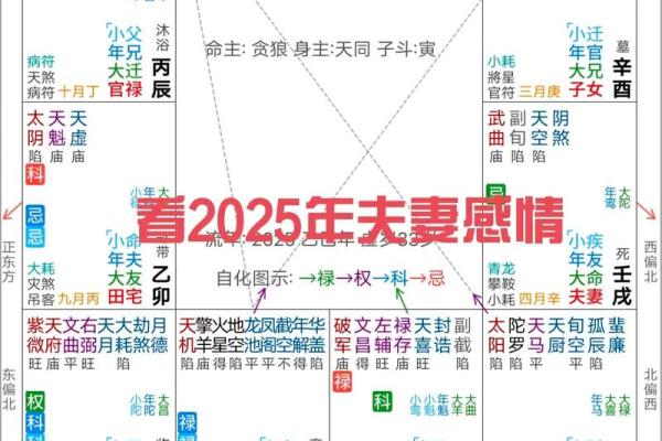 紫薇斗数和八字有什么区别