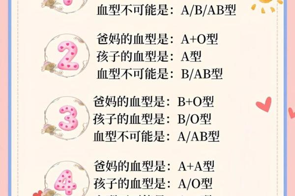 哪种血型智商比较高呢