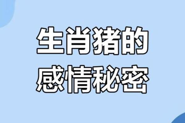 属猪正缘出现在哪年 属猪人婚姻配对表