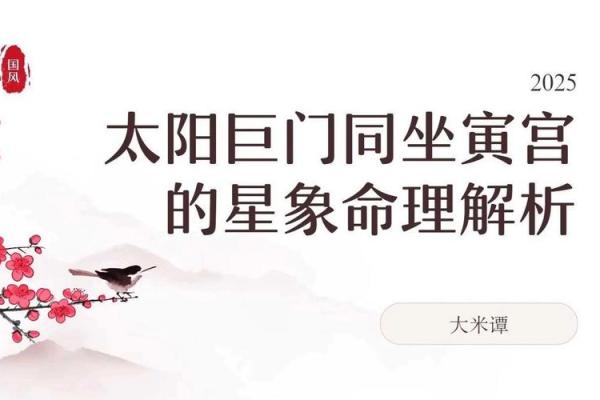紫薇斗数的太阳是什么意思