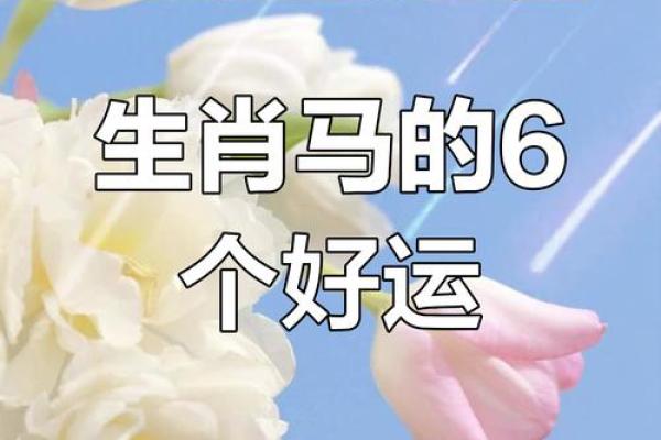 属马的生辰吉日