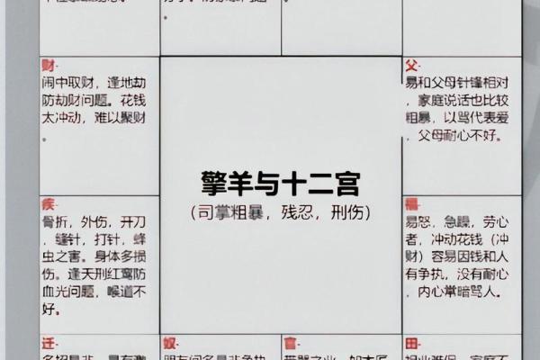夫之子紫薇斗数
