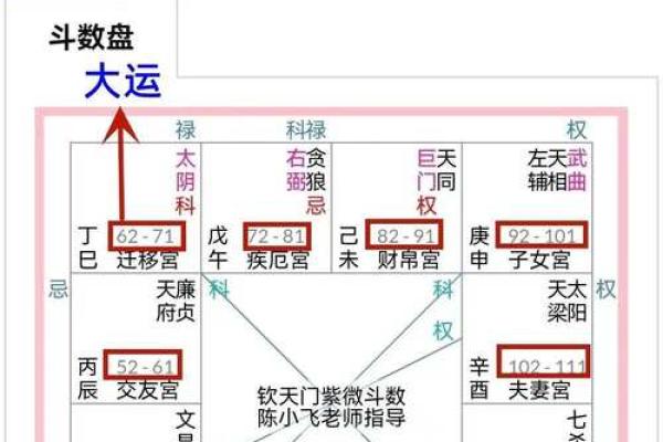 紫薇斗数命盘案例