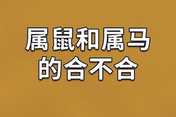 90属马人和96属鼠人配对  两人可以结婚吗