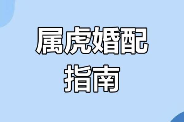 虎跟什么生肖配对最好 生肖虎最佳配对