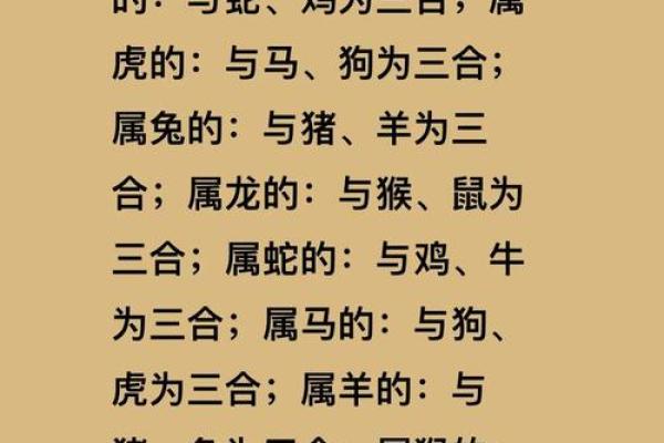 95年属猪女和什么生肖配对最好 什么时候才想要结婚
