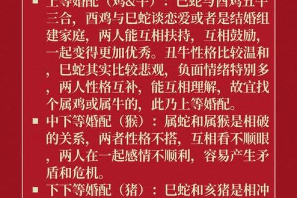 95年属猪女和什么生肖配对最好 什么时候才想要结婚