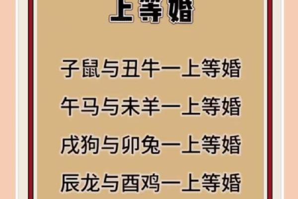 兔鼠今年结婚吉日 属兔鼠年结婚好不好？