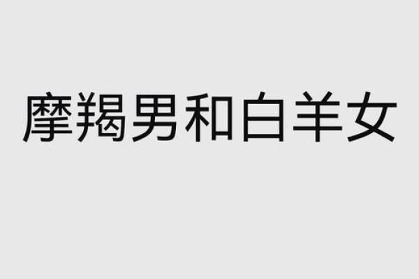 白羊男和摩羯女配对
