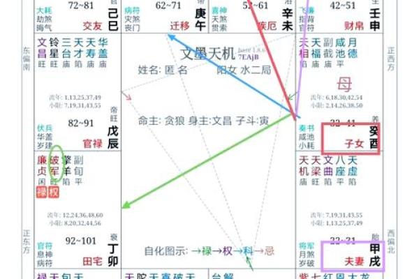 命理学紫薇斗数
