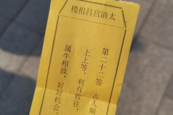 吕祖灵签野草闲花