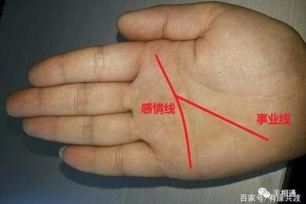 哪些血型男天生富贵命