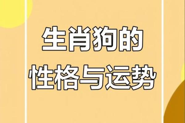 属狗和什么属相最配对 属狗和什么属相相冲