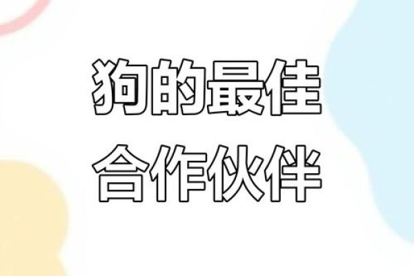 属狗和什么属相最配对 属狗和什么属相相冲