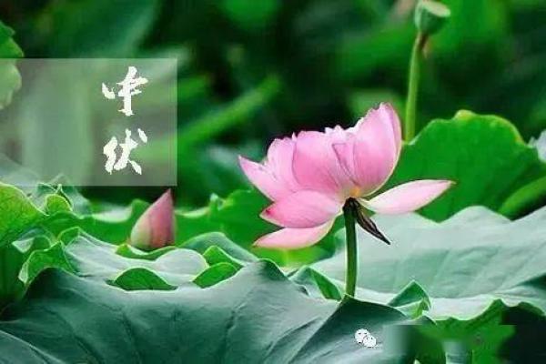 阳宅家居阳台风水布局三宜三忌