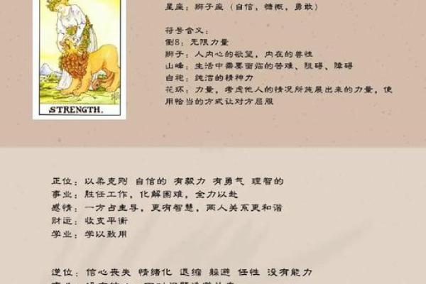 塔罗测试-8月你哪种运势最旺？