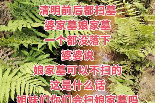 女人上坟有什么讲究和忌讳风水