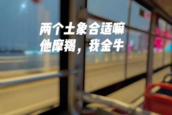 金牛和摩羯配对 金牛和摩羯适合在一起吗