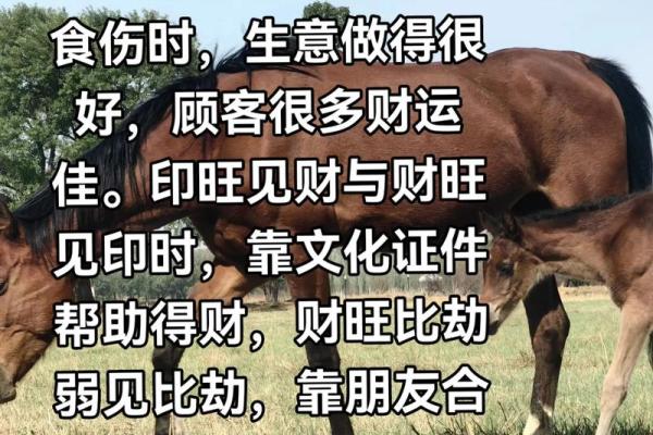 算财运最准的免费网站 免费算命靠谱吗
