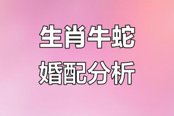 牛和牛相配婚姻如何 牛牛婚姻配对好不好
