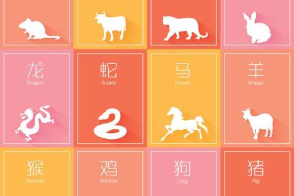 属鼠和属马的八字合不合得来,属马的跟属鼠的合财吗