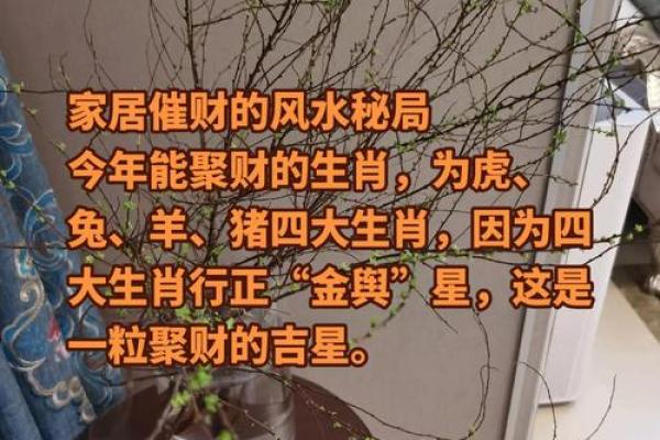 善用这几种风水，催旺家运财运