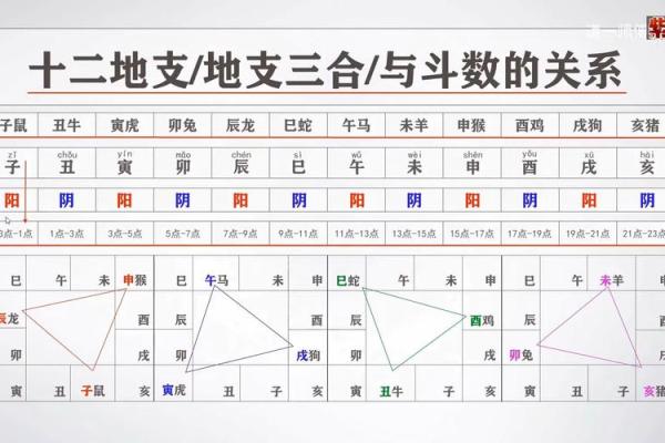 阳阳易经书店紫薇斗数