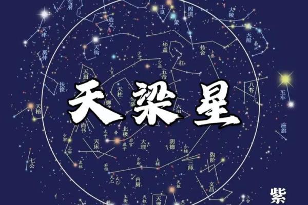 紫薇斗数厉害的人