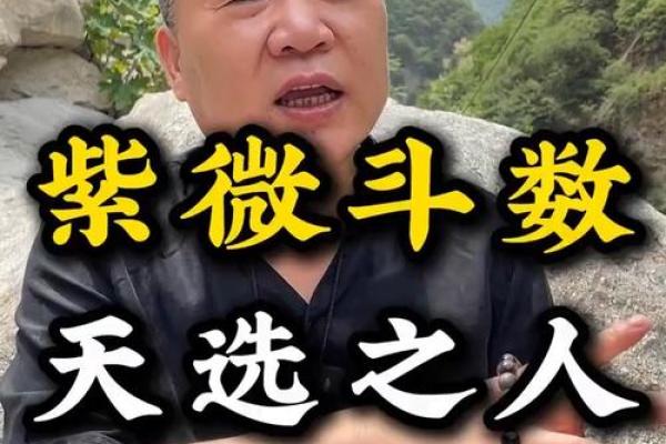 紫薇斗数厉害的人
