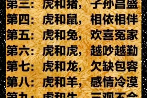 属马女性配对大揭秘：羊男VS狗男，成功婚姻密码在哪？