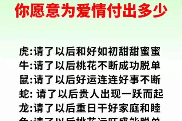 十二生肖配对指数大揭秘